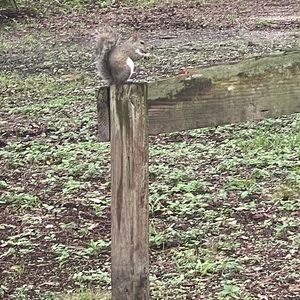 Meet your Posher, Isidra